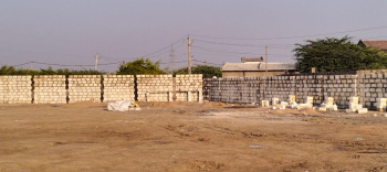  Agricultural Land for Rent in Dholera, Ahmedabad