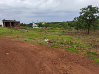  Residential Plot for Sale in Taliparamba, Kannur