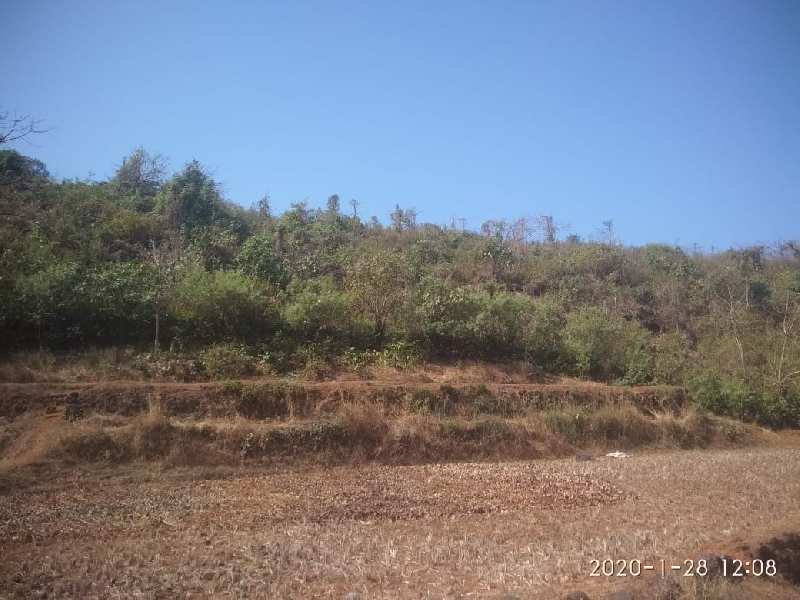 Agricultural Land 43056 Sq.ft. for Sale in Mumbai Goa Highway