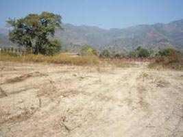  Residential Plot for Sale in Sahastradhara Road, Dehradun