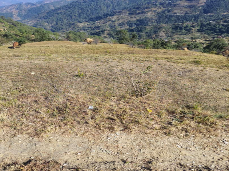  Residential Plot 200 Sq. Yards for Sale in Shaharfatak, Almora