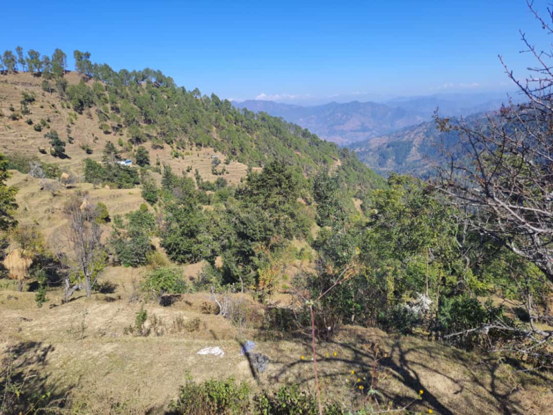  Residential Plot 200 Sq. Yards for Sale in Shaharfatak, Almora