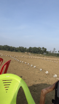  Agricultural Land for Sale in Bodhgaya, Gaya