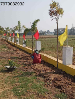  Residential Plot for Sale in Bodh Gaya