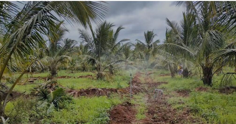  Residential Plot 113 Guntha for Sale in Hunsur, Mysore