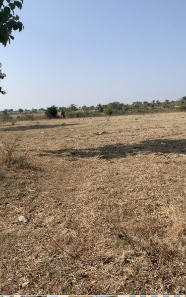 Agricultural Land 12 Acre for Sale in Chincholi, Kalaburagi