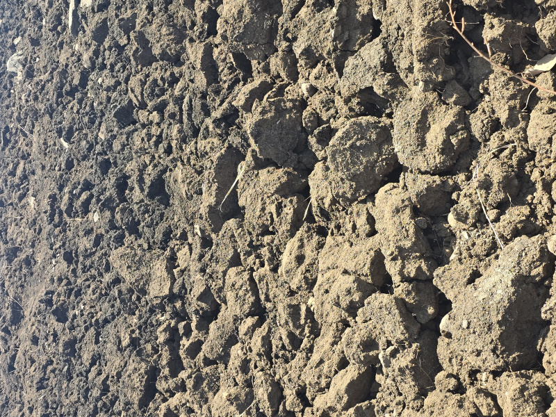  40 Acre Agricultural/Farm Land for Sale in Chincholi, Kalaburagi