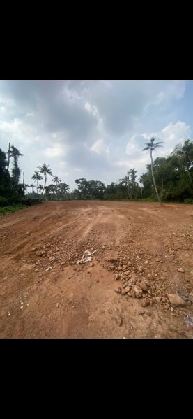  Residential Plot 40 Cent for Sale in Kakkanad, Ernakulam
