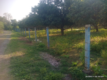 Residential Plot for Sale in Padra, Vadodara