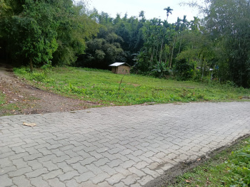  Residential Plot for Sale in Amolapatty, Dibrugarh