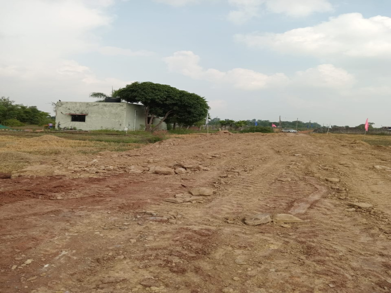  Residential Plot 1000 Sq.ft. for Sale in Amleshwar, Raipur