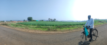 Agricultural Land for Sale in Barela, Jabalpur