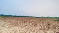  Industrial Land for Sale in Cumbum, Theni