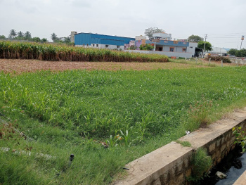  Commercial Land for Rent in Bethamangala, Kolar