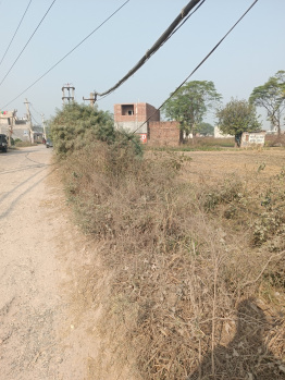  Agricultural Land for Sale in Sahnewal, Ludhiana