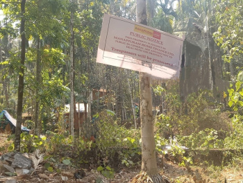  Residential Plot for Sale in Koyilandy, Kozhikode