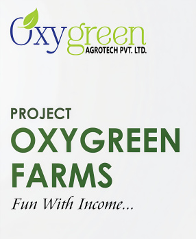 2 BHK Farm House for Sale in Butibori, Nagpur