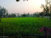  Residential Plot for Sale in Nawabganj, Bareilly