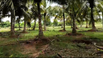  Agricultural Land for Sale in Uthiramerur, Kanchipuram