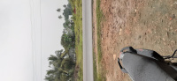  Commercial Land for Sale in Walajapet, Vellore