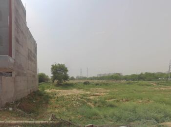  Residential Plot for Sale in Sector 10, Bahadurgarh