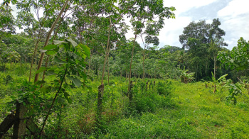  Residential Plot for Sale in Adoor, Pathanamthitta