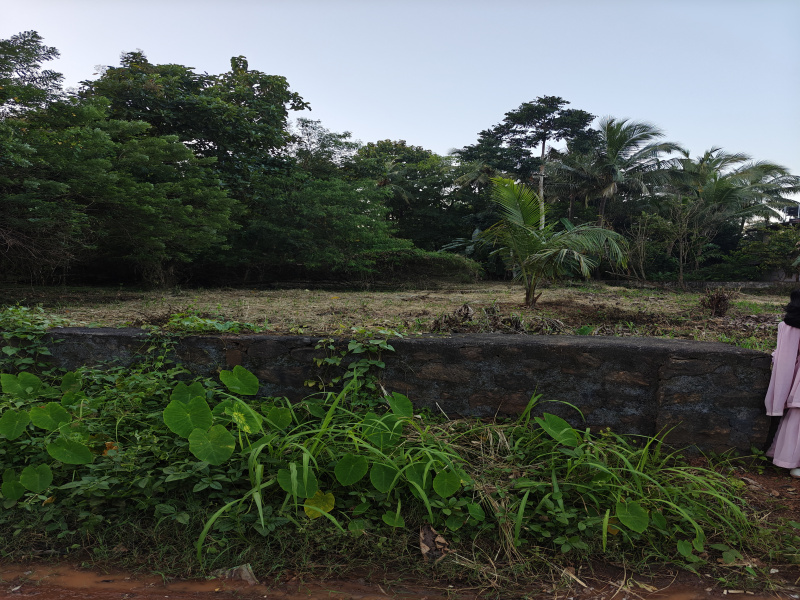  27 Cent Residential Plot for Sale in Perinthalmanna, Malappuram