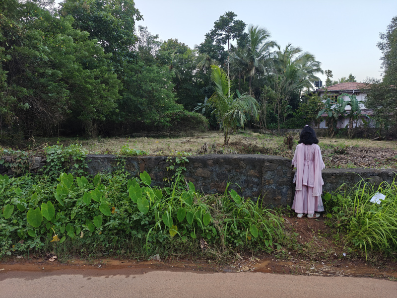  27 Cent Residential Plot for Sale in Perinthalmanna, Malappuram