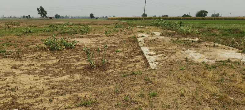  Commercial Land 12 Marla for Sale in Halwara, Ludhiana