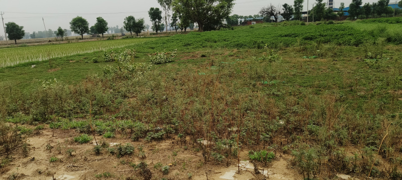  Commercial Land 12 Marla for Sale in Halwara, Ludhiana