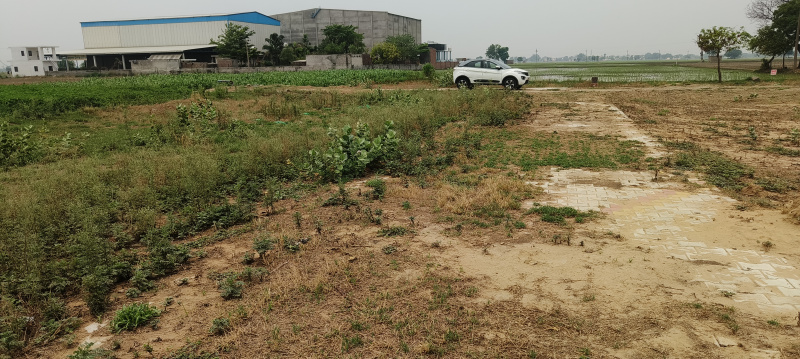  Commercial Land 12 Marla for Sale in Halwara, Ludhiana