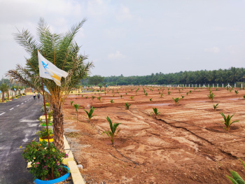  Agricultural Land for Sale in Rama Nada Puram, Coimbatore