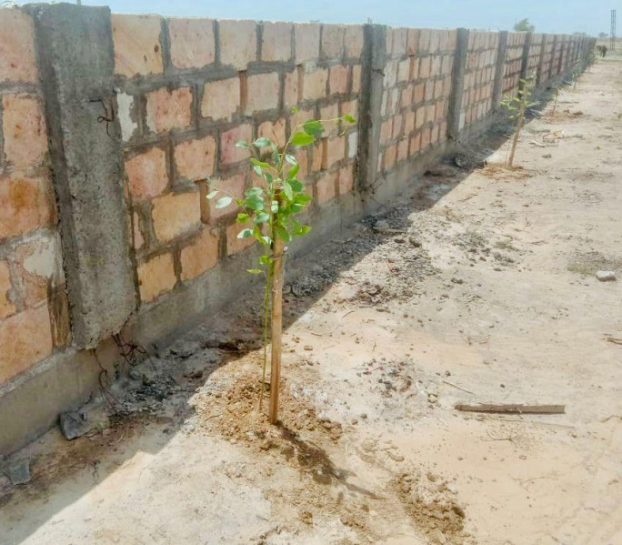  Residential Plot 276 Sq. Yards for Sale in Dholera, Ahmedabad