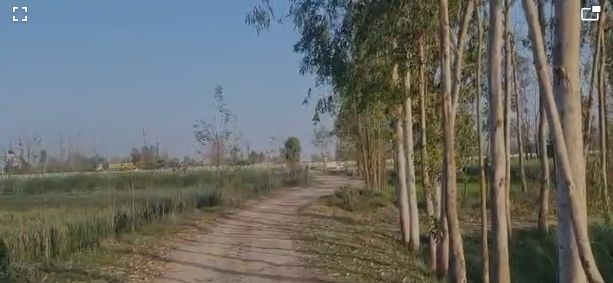  Agricultural Land 22 Biswa for Sale in Delhi Road, Saharanpur