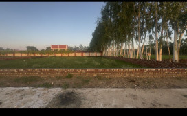 Agricultural Land 1000 Sq. Yards for Sale in Biharigarh, Saharanpur