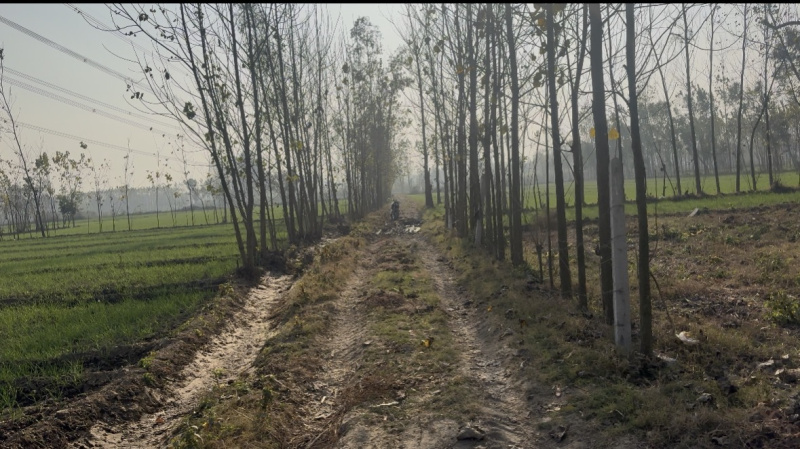 3 BHK 2285 Sq. Yards Farm House for Sale in Biharigarh, Saharanpur