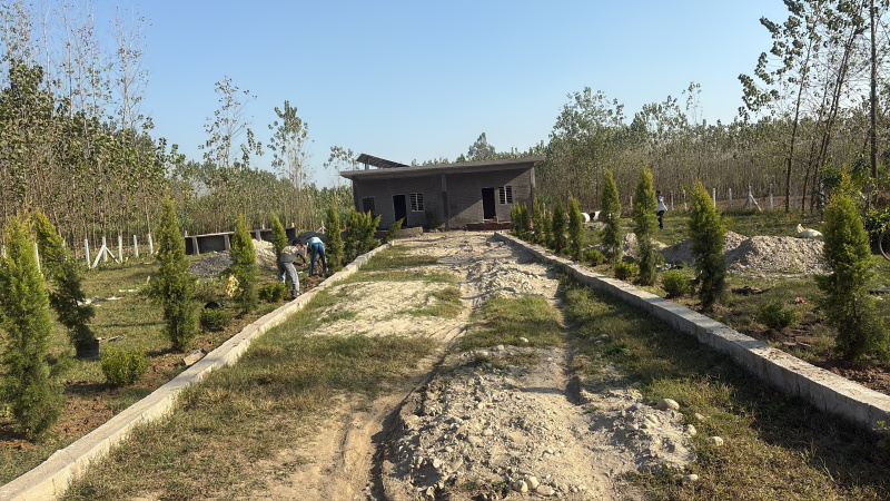 3 BHK 2285 Sq. Yards Farm House for Sale in Biharigarh, Saharanpur