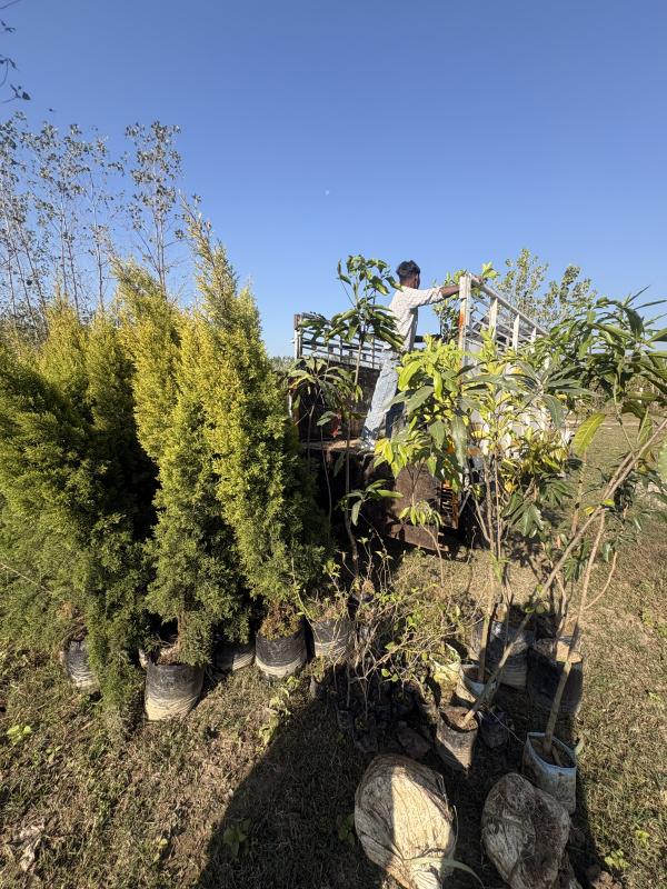 3 BHK 2285 Sq. Yards Farm House for Sale in Biharigarh, Saharanpur