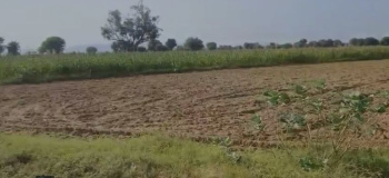  Agricultural Land for Sale in Naugaon, Alwar