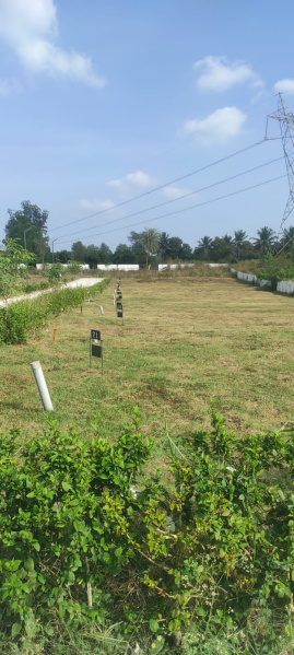  Commercial Land 800 Sq.ft. for Sale in Kaggalipura, Bangalore