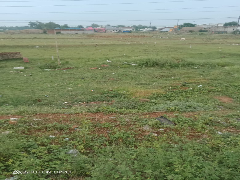 Bhabinipur, Berhampur photo 3