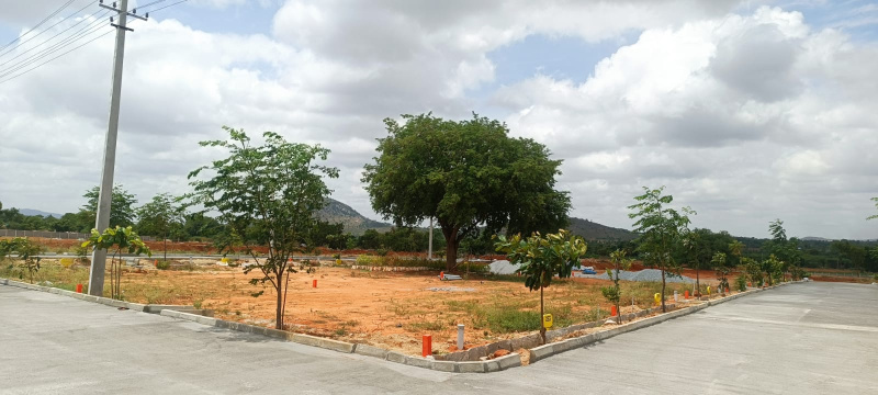  Residential Plot 1200 Sq.ft. for Sale in Bagepalli, ChikBallapur