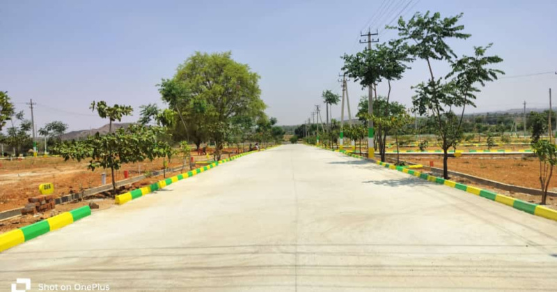  Residential Plot 1200 Sq.ft. for Sale in Bagepalli, ChikBallapur