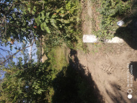  Residential Plot for Sale in Nakari, Lakhimpur-assam