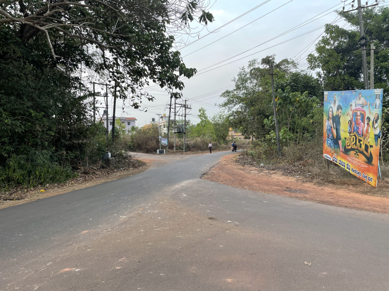 Agricultural Land 6 Acre for Sale in Haleangadi, Mangalore
