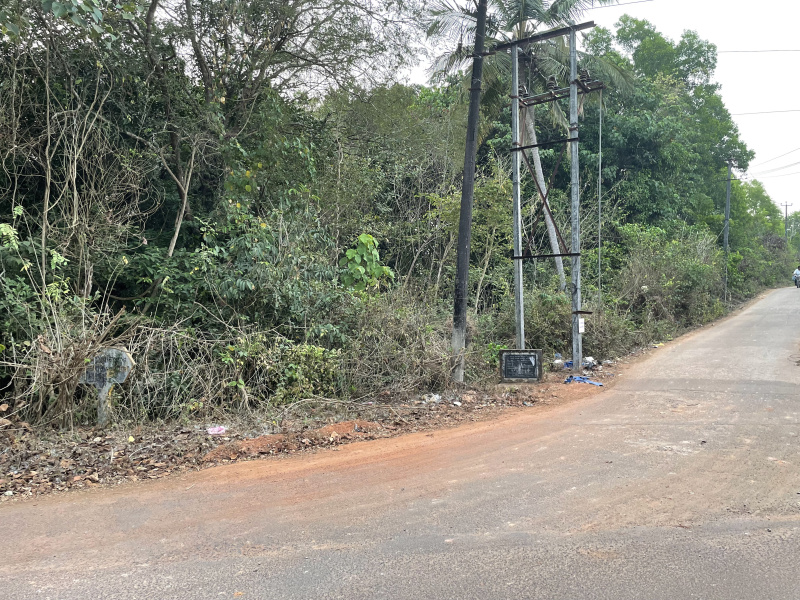  Agricultural Land 6 Acre for Sale in Haleangadi, Mangalore