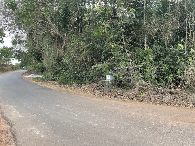  Agricultural Land 6 Acre for Sale in Haleangadi, Mangalore