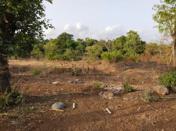  Agricultural Land for Rent in Gorsai, Bhiwandi, Thane