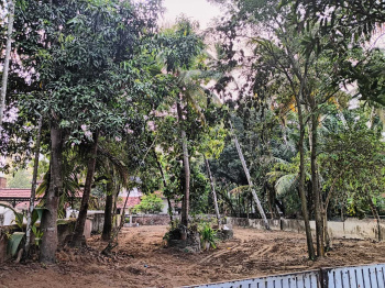  Residential Plot for Rent in Maradu, Kochi