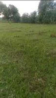  Commercial Land for Sale in Ayodhya, Faizabad